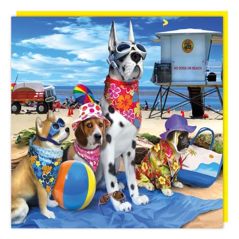 3D Holographic Dogs on Beach Card £2.99